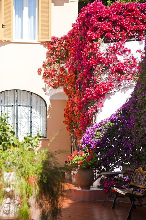 Hotel Casa Di Meglio Ischia Dış mekan fotoğraf